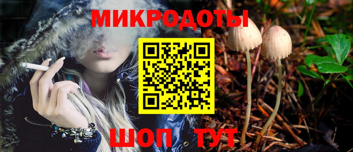 Псилоцибиновые грибы Psilocybine cubensis Орёл